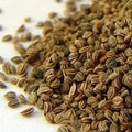 Dhillons Celery Seed 100g