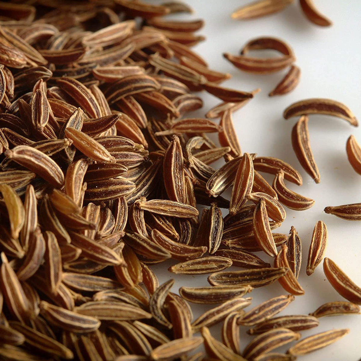 Caraway Seeds 100g Organic