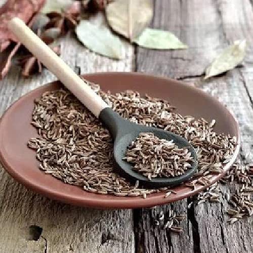 Caraway Seeds 100g Organic